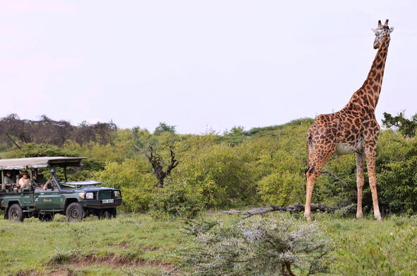 Encounter Mara - Masai Mara Safari