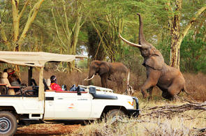 Tsavo West National Park - Kenya Safari Guide