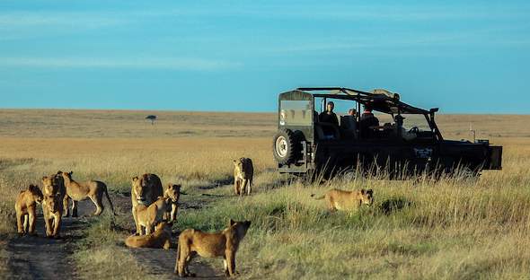 Classic Kenya Safari Package - Masai Mara and Great Rift Valley