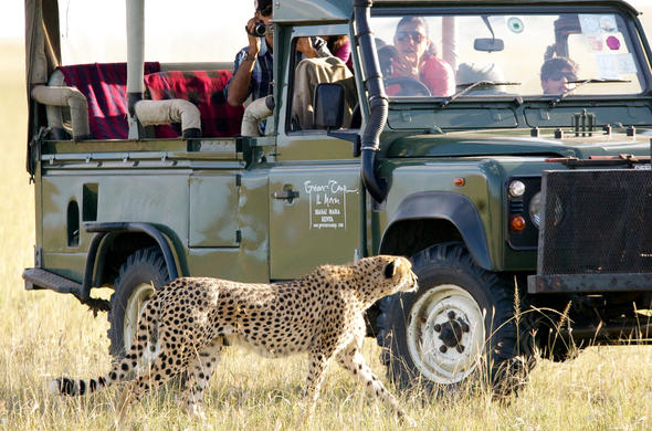 Governors IL Moran - Hot Air Ballooning, Wildebeest Migration