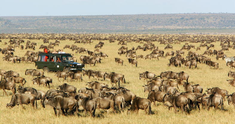 Masai Mara Safari Lodges in Kenya